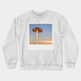 Mushroom Photograph Fungi Shroom Picture Crewneck Sweatshirt